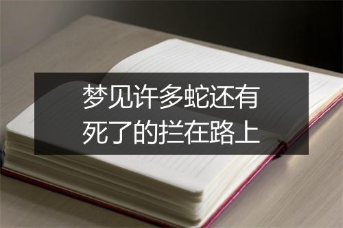 梦见许多蛇还有死了的拦在路上