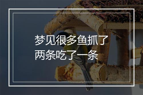 梦见很多鱼抓了两条吃了一条