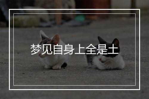 梦见自身上全是土