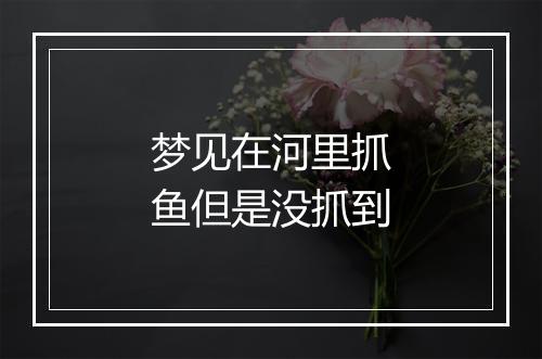 梦见在河里抓鱼但是没抓到