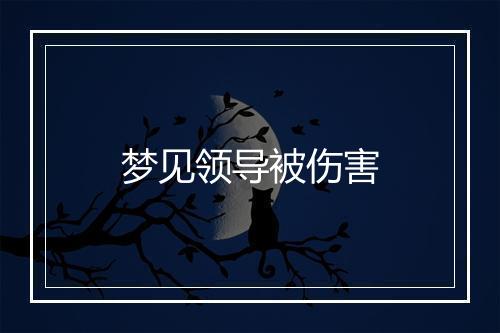 梦见领导被伤害