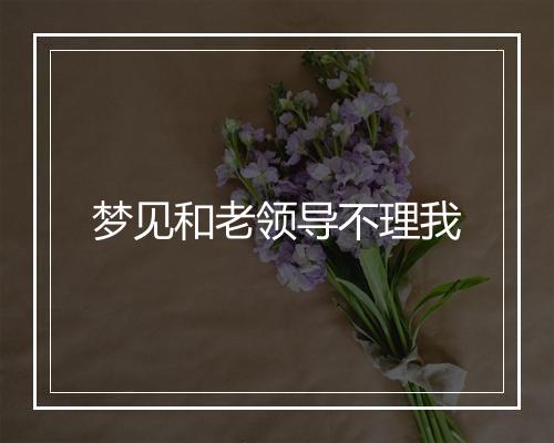 梦见和老领导不理我