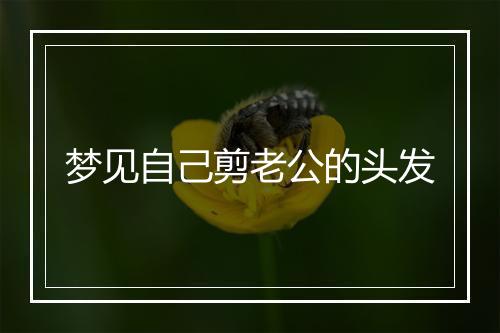 梦见自己剪老公的头发