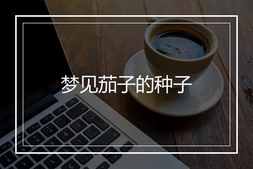 梦见茄子的种子