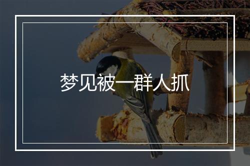 梦见被一群人抓