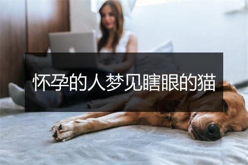 怀孕的人梦见瞎眼的猫