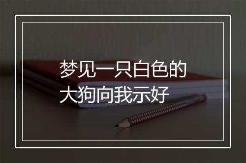 梦见一只白色的大狗向我示好