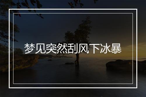 梦见突然刮风下冰暴