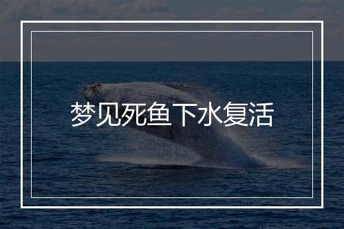 梦见死鱼下水复活