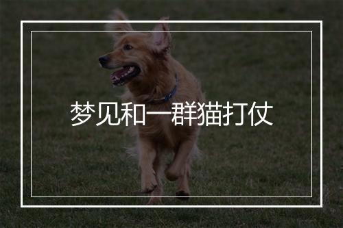 梦见和一群猫打仗