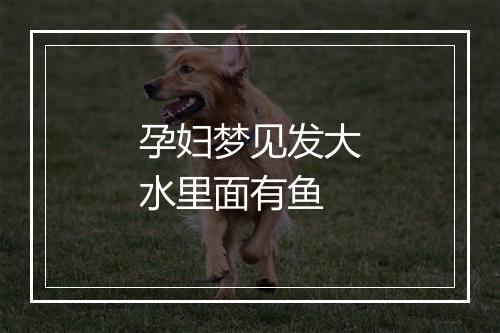 孕妇梦见发大水里面有鱼