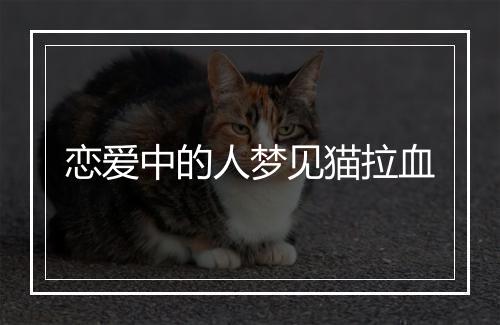 恋爱中的人梦见猫拉血