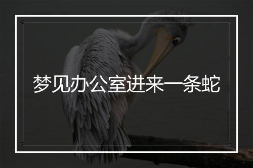 梦见办公室进来一条蛇