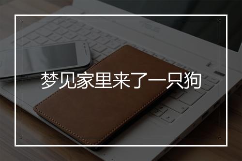 梦见家里来了一只狗