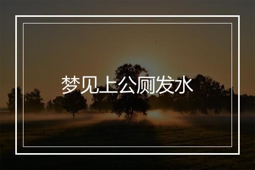 梦见上公厕发水