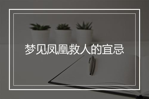 梦见凤凰救人的宜忌