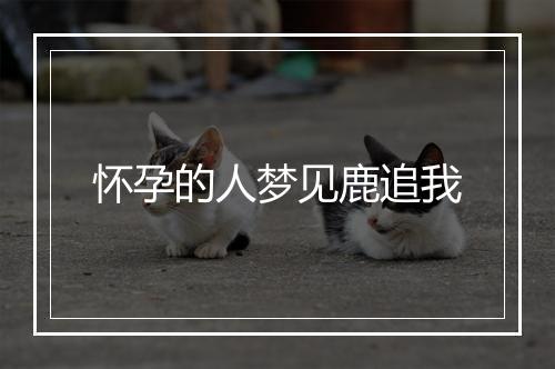 怀孕的人梦见鹿追我