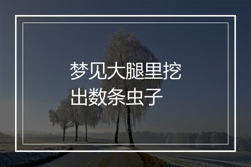 梦见大腿里挖出数条虫子