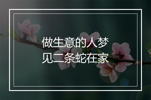 做生意的人梦见二条蛇在家