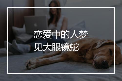 恋爱中的人梦见大眼镜蛇