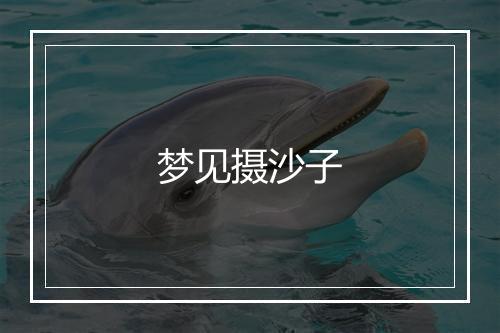 梦见摄沙子