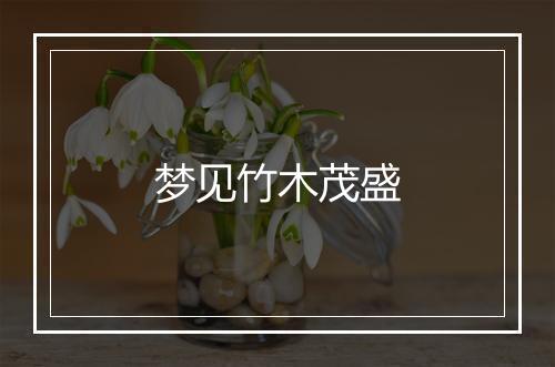 梦见竹木茂盛