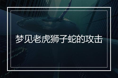 梦见老虎狮子蛇的攻击