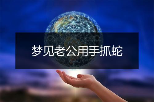 梦见老公用手抓蛇