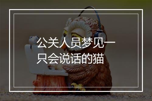 公关人员梦见一只会说话的猫