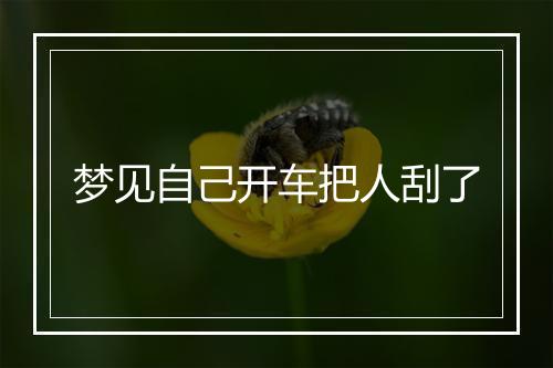 梦见自己开车把人刮了