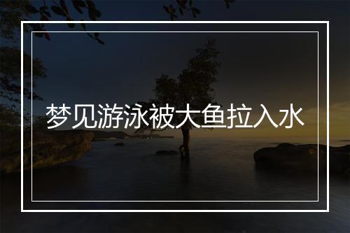 梦见游泳被大鱼拉入水