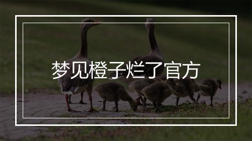 梦见橙子烂了官方