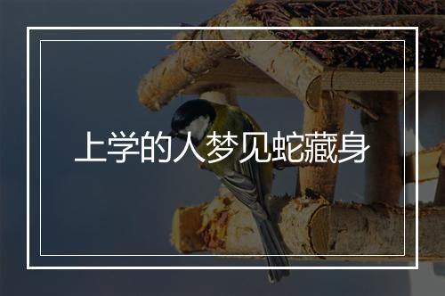 上学的人梦见蛇藏身