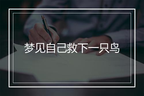 梦见自己救下一只鸟