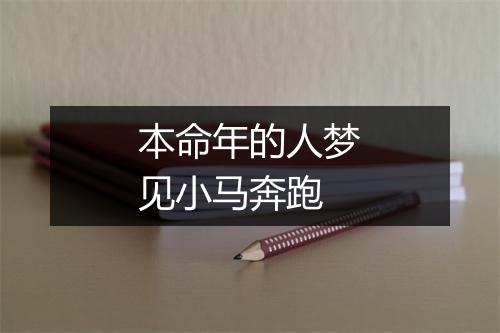 本命年的人梦见小马奔跑