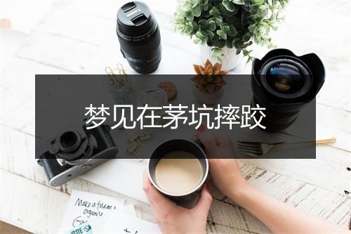 梦见在茅坑摔跤