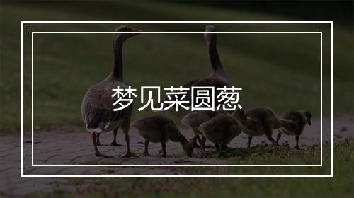 梦见菜圆葱