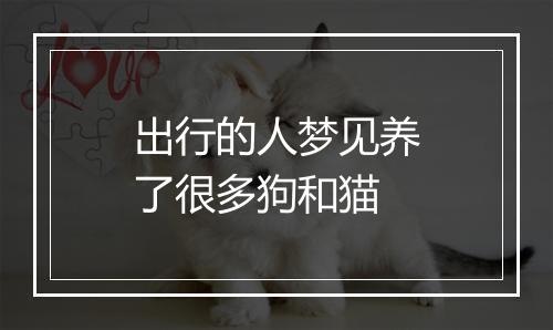 出行的人梦见养了很多狗和猫