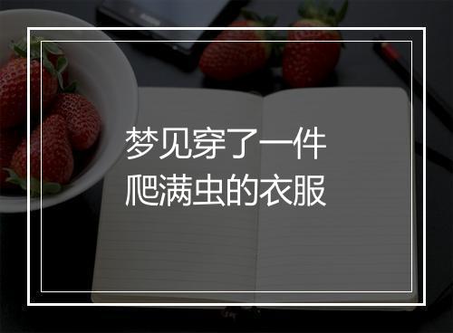 梦见穿了一件爬满虫的衣服