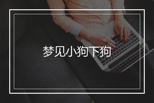 梦见小狗下狗