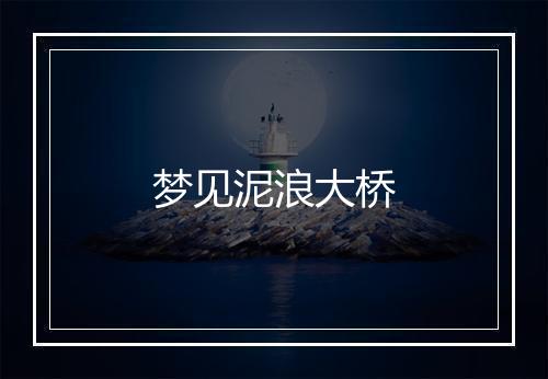 梦见泥浪大桥