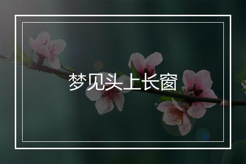 梦见头上长窗