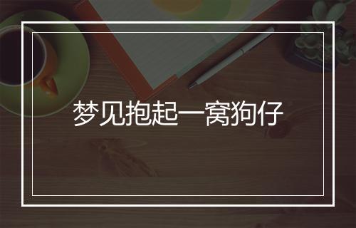 梦见抱起一窝狗仔