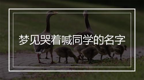 梦见哭着喊同学的名字