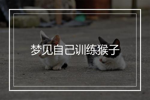 梦见自己训练猴子