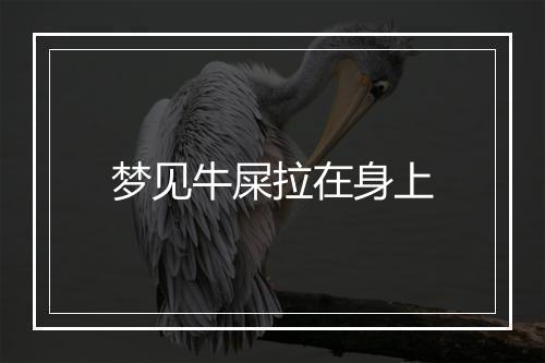 梦见牛屎拉在身上