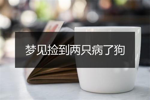 梦见捡到两只病了狗