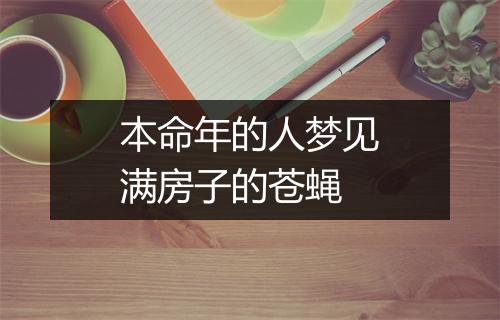 本命年的人梦见满房子的苍蝇