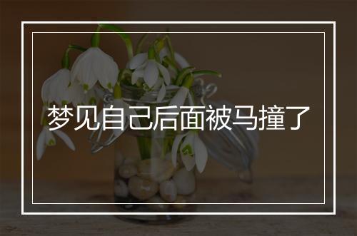 梦见自己后面被马撞了