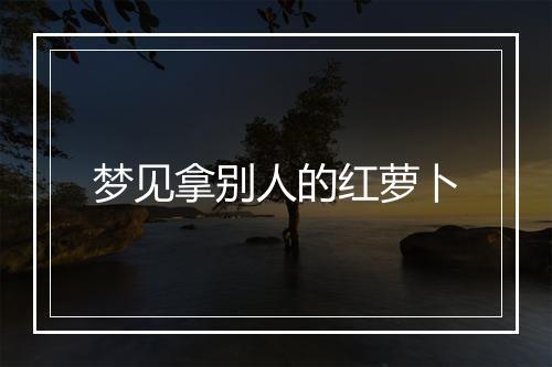 梦见拿别人的红萝卜